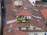 Chianti-2 2016 - 352.jpg